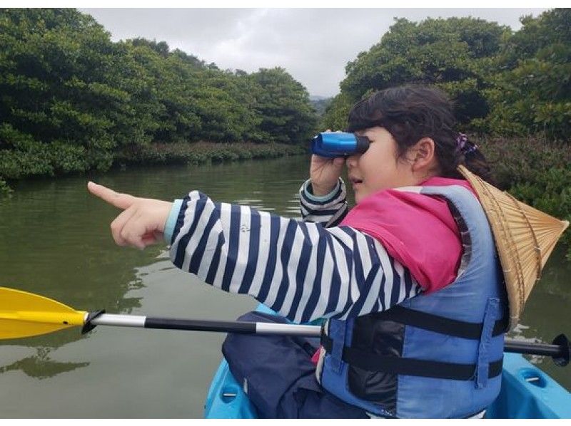 【マングローブカヤック体験ツアー】シーカヤックとマングローブが両方楽しめる人気のツアーの紹介画像