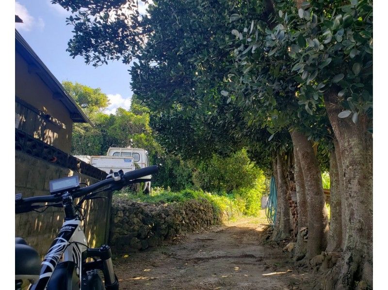 電動アシスト付き自転車（E-バイク）で行く古宇利大橋・屋我地島ツーリングの紹介画像