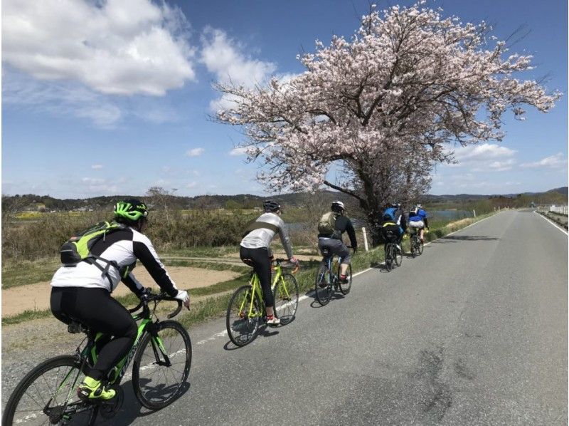【Miyagi ・ Ishinomaki】 Spring Cycling along the Kitakami (25km)の紹介画像
