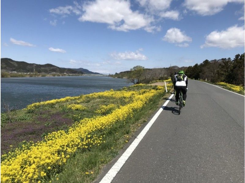 【Miyagi ・ Ishinomaki】 Spring Cycling along the Kitakami (25km)の紹介画像