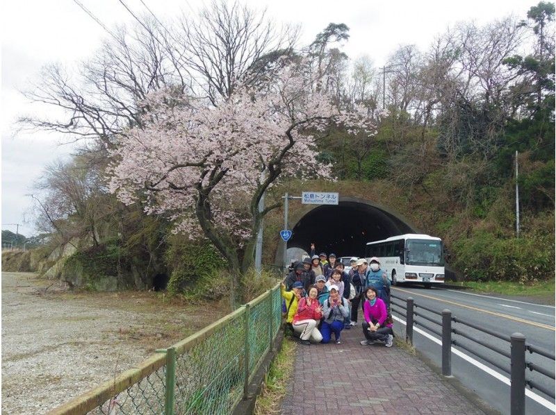 [Miyagi ・ Matushima] 'Sea & Sakura' Hike in Matsushimaの紹介画像