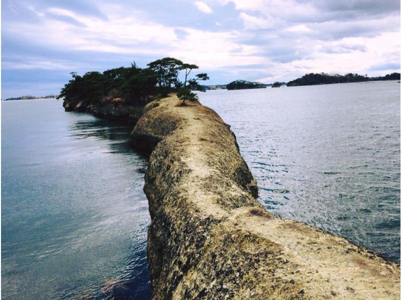 【Miyagi・Matushima】‘Sea & Sakura’ Hike in Matsushimaの紹介画像