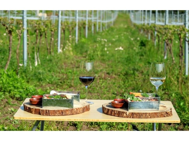 【Miyagi・Akiu】環保愛地球的酒莊野餐行（蛋奶素、全素食者可）の紹介画像