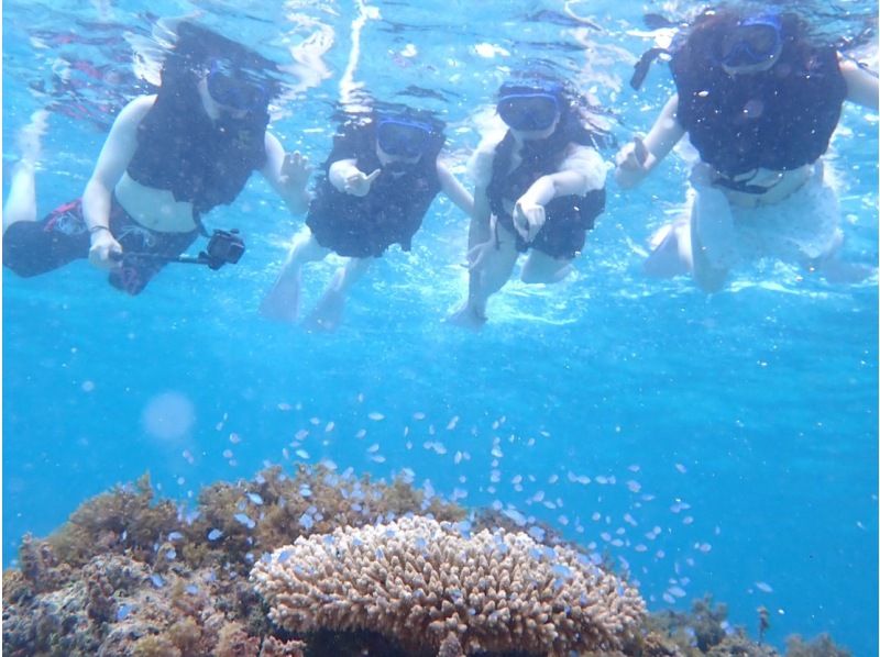 【石垣島/1日】石垣島プレミアムプラン！幻の島上陸&シュノーケリング&川平湾SUP/カヌー★石垣完全制覇セット★写真無料★の紹介画像