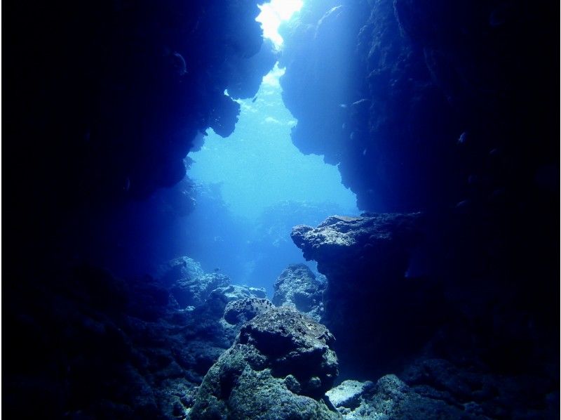 [Whole area / pick-up OK] Enjoy the sea on the main island of Okinawa! ★★ Near sea 2 boat fan diving ★★ To the sea that you do not know yet [half day or all day, arrival day OK]の紹介画像