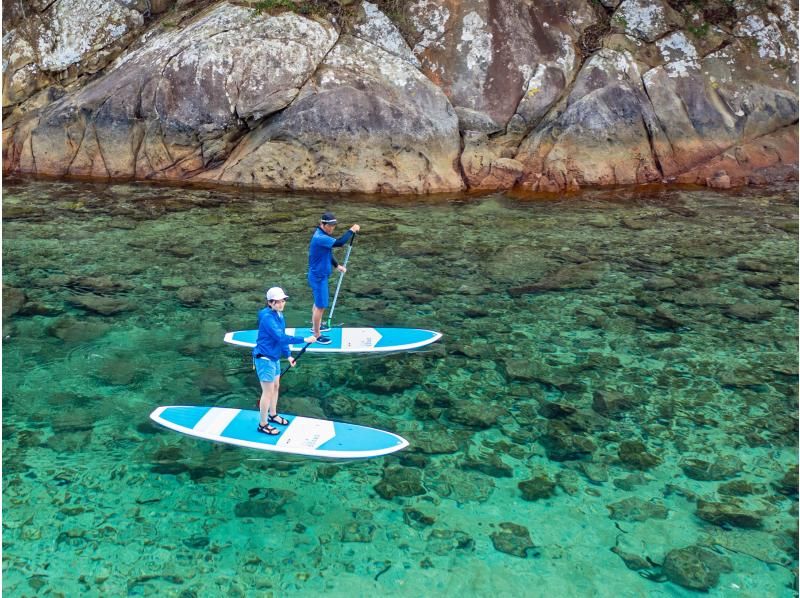 SALE！【徳島・海陽町】水床湾(みとこわん)SUPクルージングの紹介画像