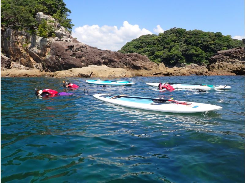 SALE！【徳島・海陽町】水床湾(みとこわん)SUPクルージングの紹介画像