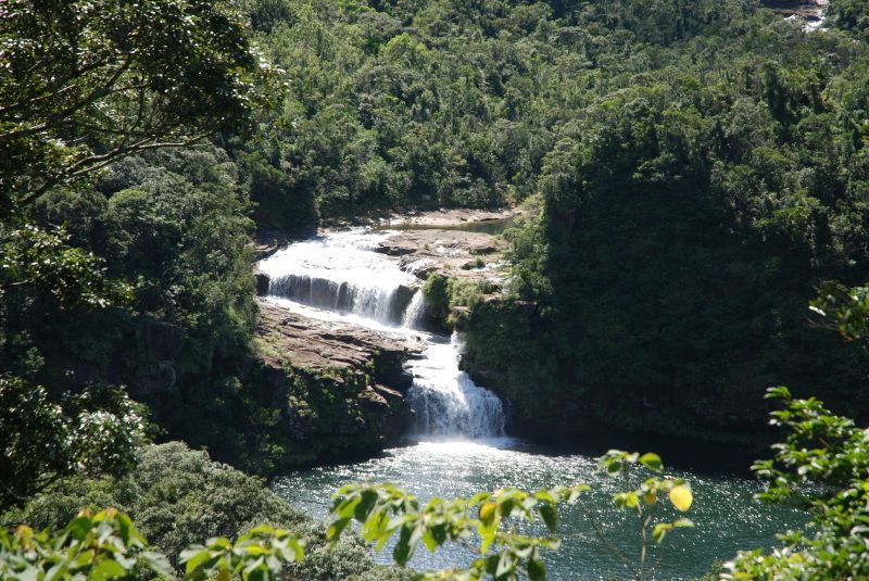 เกาะอิริโอโมเตะ เที่ยวชมแม่น้ำอุระอุจิ