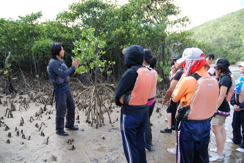 Iriomote Island leisure recommendation