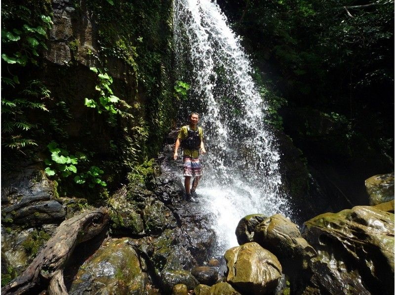 [Iriomote Island] Mariyudu Waterfall and Canoeing (with lunch) (for 2 people more)の紹介画像