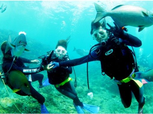 【沖縄・恩納村】専用ボートでご案内!人気の青の洞窟体験ダイビングを気軽に楽しめます!(水中写真プレゼント) 【沖縄・恩納村】専用ボートでご案内!人気の青の洞窟体験ダイビングを気軽に楽しめます!(水中写真プレゼント)