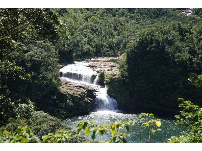 [西表島] Mariyudu瀑布和劃獨木舟（帶午餐）（單人入住計劃）の紹介画像