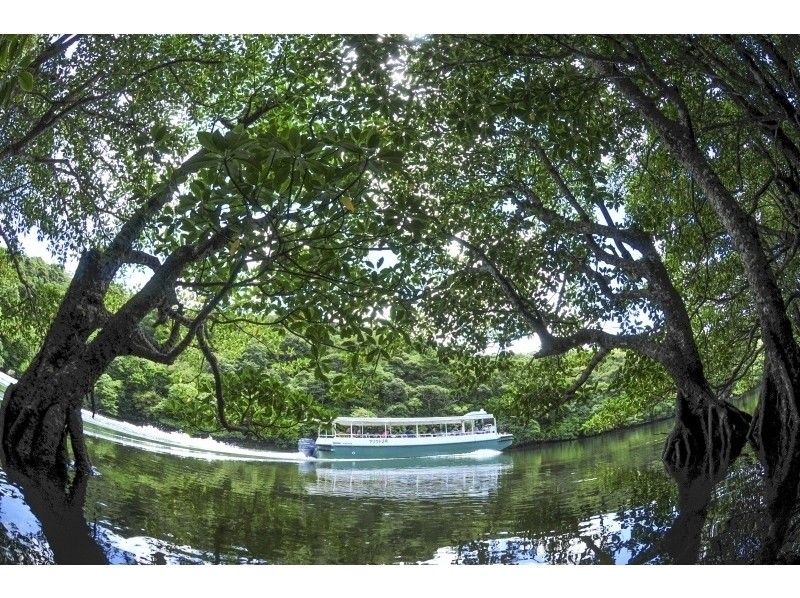 [西表岛] Mariyudu瀑布和划独木舟（带午餐）（单人入住计划）の紹介画像