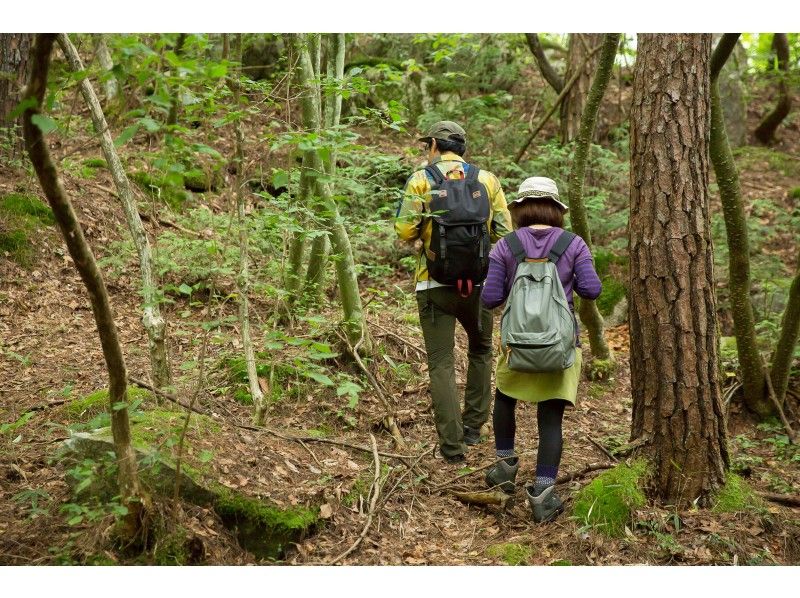 [Yamagata Prefecture, Iide-machi] Forest walking and gastronomy plan to eat wild plants and tree buds / Wild vegetable picking master and cook accompanying plan / Cooking on the spot!の紹介画像