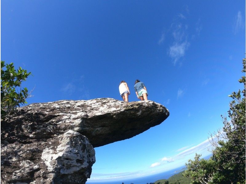 SALE! [Ishigaki Island, half day] ★ Private tour with camera photography! Free combination of Kabira Bay, Blue Cave, spectacular mountain climbing, etc.! Free pick-up and drop-off☆ PVの紹介画像