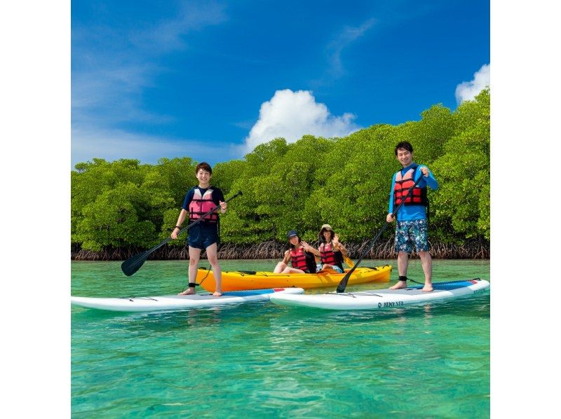 《Limited》【Ishigaki Island】☆Private tour☆Photo tour! You can combine the spectacular Kabira Bay, Blue Cave, SUP, kayaking, and more! Free pick-up and drop-off☆ PVの紹介画像