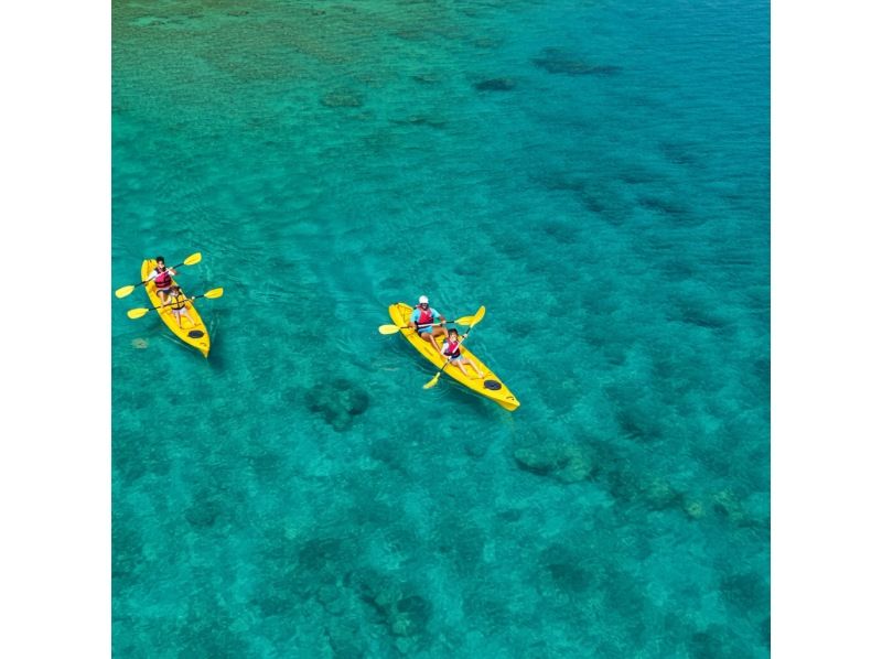 《Limited》【Ishigaki Island】☆Private tour☆Photo tour! You can combine the spectacular Kabira Bay, Blue Cave, SUP, kayaking, and more! Free pick-up and drop-off☆ PVの紹介画像