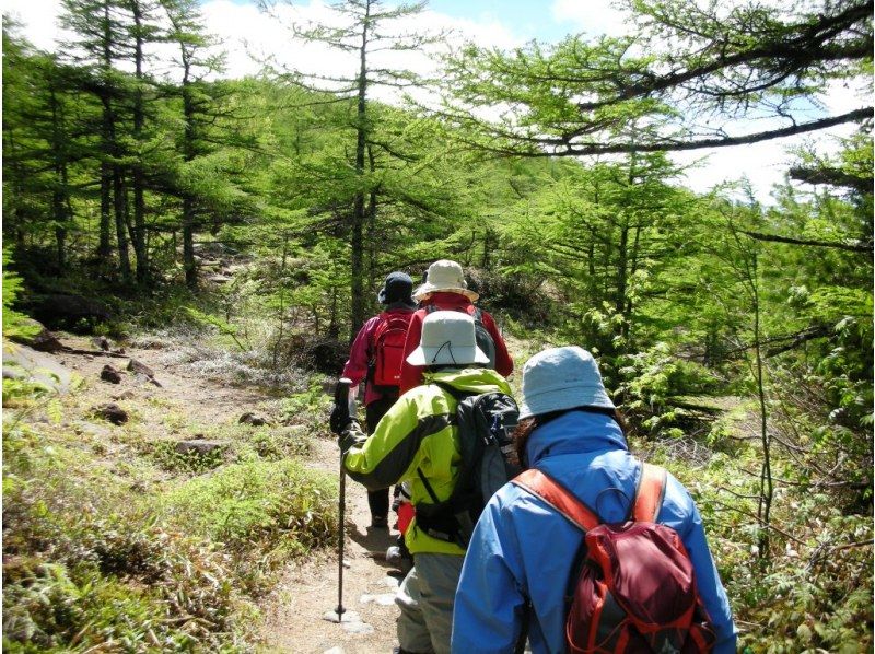 [Takamine Highlands, Nagano Prefecture] Kurofuyama trekking (trekking with a spectacular view of Mt. Asama spreading in front of you)の紹介画像