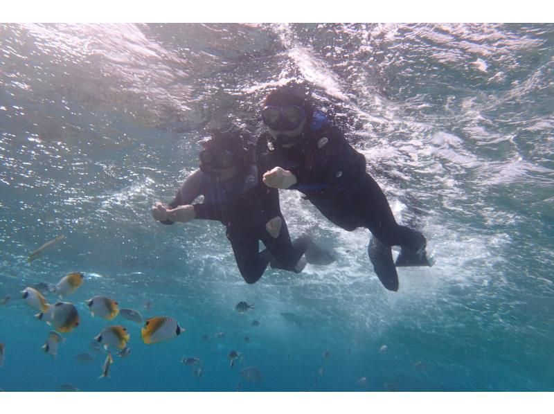 [2-3歲免費★那霸附近★海龜觀賞幾率高♪]☆海龜＆熱帶魚熱帶之旅☆距離那霸30分鐘！免費拍照與餵食☆の紹介画像