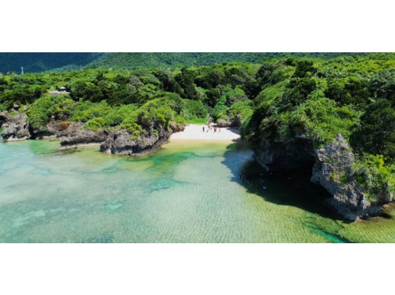 【石垣島 - Google 評價 ★4.9】找海龜！這項旅遊包括在青之洞窟浮潛並在神秘未開發的地區享受奇妙的體驗！の紹介画像