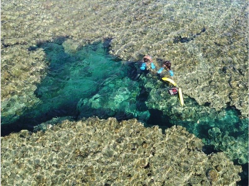 【石垣島 - Google 評價 ★4.9】找海龜！這項旅遊包括在青之洞窟浮潛並在神秘未開發的地區享受奇妙的體驗！の紹介画像