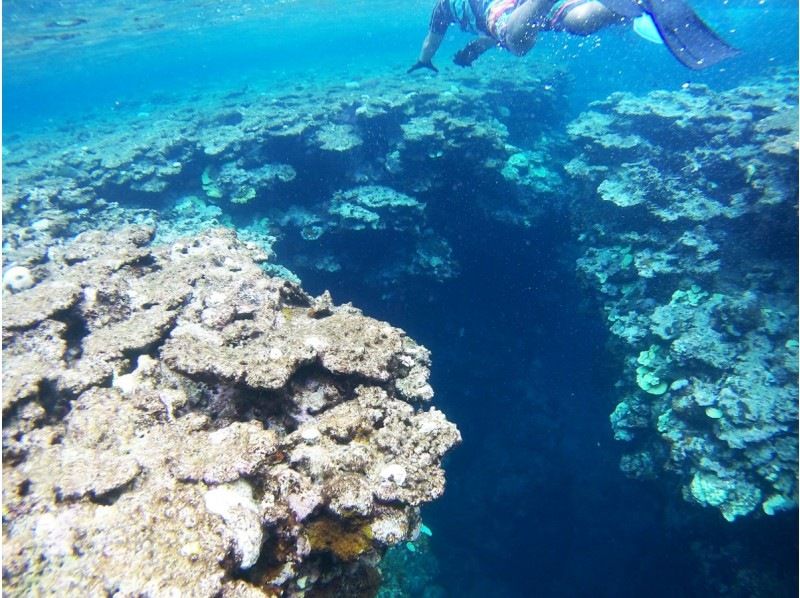 【石垣島 - Google 評價 ★4.9】找海龜！這項旅遊包括在青之洞窟浮潛並在神秘未開發的地區享受奇妙的體驗！の紹介画像