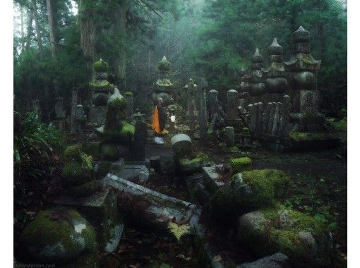 【和歌山】高野山の聖地!奥之院参拝ナイトツアー!高野山在住ガイドが幻想的な夜の奥之院をご案内!高野山の歴史や伝説・大自然を堪能 【和歌山】高野山の聖地!奥之院参拝ナイトツアー!高野山在住ガイドが幻想的な夜の奥之院をご案内!高野山の歴史や伝説・大自然を堪能