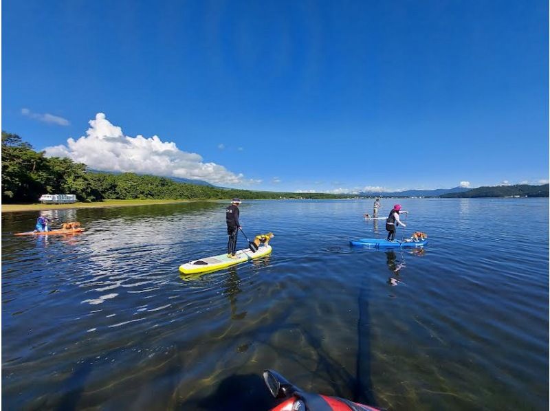 【富士山・山中湖】初心者歓迎！　山中湖でのSUP体験＜60分コース＞　お子様もご一緒に！10才から参加OK！　愛犬も一緒に体験OK！の紹介画像