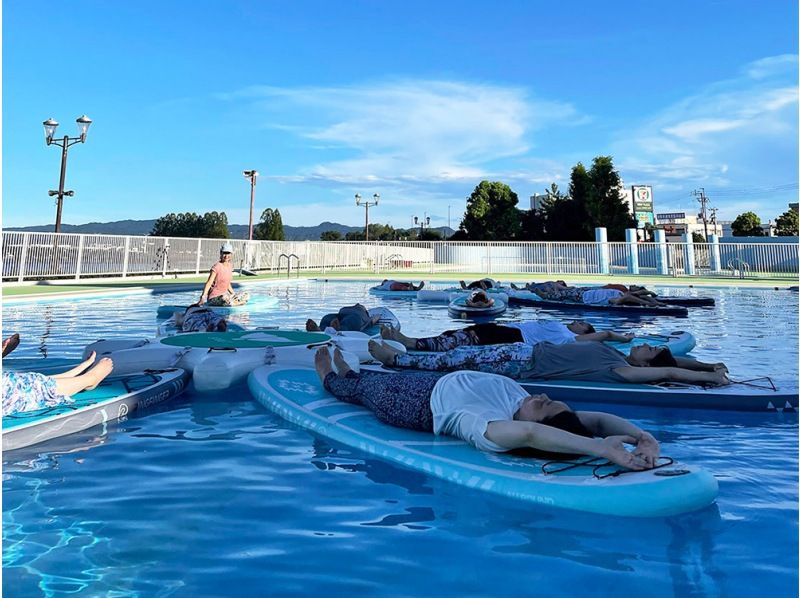 値下げ　ウォーターヒヤシンス　ヨタカ　DALAI SPA 値下げウォーターヒヤシンスヨタカDALAI SPA