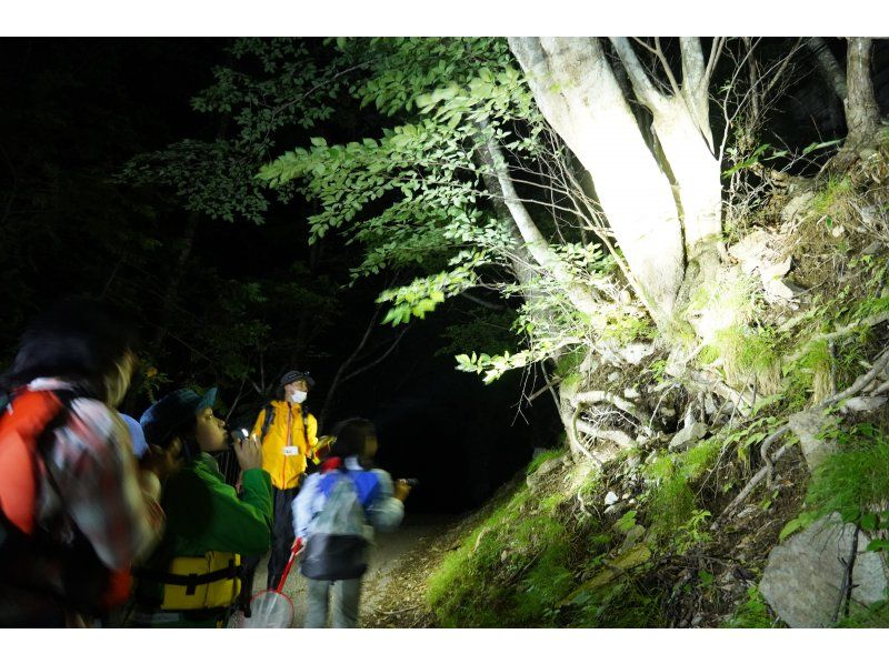 〈ガイドと一緒に夜の中禅寺湖畔へ！〉色々な生きものとのドキドキの出会いを！中禅寺湖畔で夜のいきもの探し！【栃木県・奥日光】の紹介画像