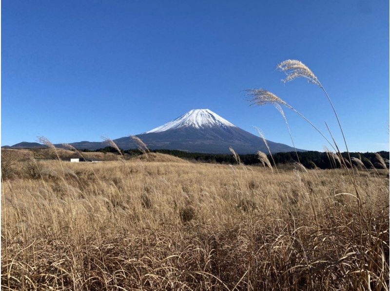 【ATVバギー・30分】ATV使用★四輪バギーショートコースプラン★富士山を眺めて★（30分2㌔）の紹介画像