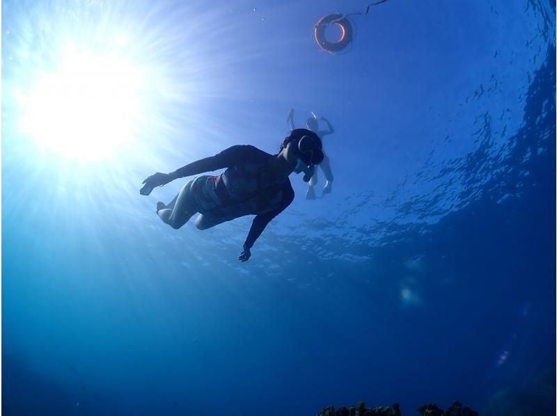 【沖縄・宮古島】1組貸切のプライべート〈ビーチスキンダイビングツアー〉　ツアー写真・動画データプレゼント の紹介画像