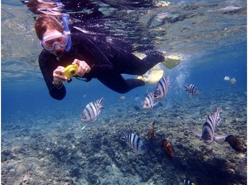 名護 本部 国頭のシュノーケリングの予約 日本旅行 オプショナルツアー アクティビティ 遊びの体験予約
