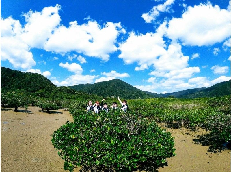 【鹿児島・奄美】「神秘の滝」で川遊び＆マングローブカヌー1日ツアー★写真無料の紹介画像