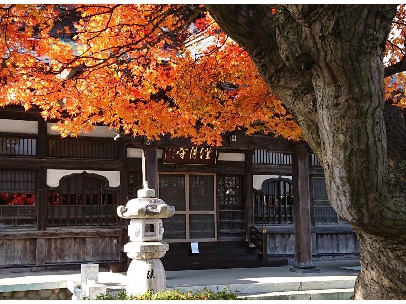 【現場直播城市漫步】藝術之城十和田的歷史與建築之旅の紹介画像