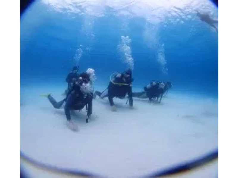 [Okinawa Ishigaki island] Phantom island landing + experience Diving half-day tourの紹介画像