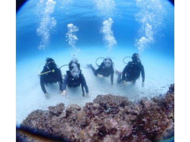[Okinawa Ishigaki island] Phantom island landing + experience Diving half-day tourの紹介画像