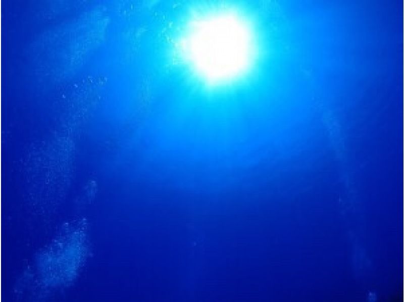 【沖縄・石垣島】幻の島上陸+体験ダイビング半日ツアーの紹介画像