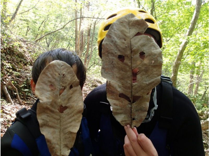【滋賀】日本の滝百選！八ッ淵の滝シャワークライミング（半日Aコース）　9:00集合≪SC-4≫の紹介画像