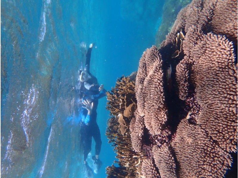 [Okinawa / Miyakojima] << Equipped with hot shower >> Corona measures are perfect! From 2 years old ♪ Safe charter snorkeling tour on the beach!の紹介画像