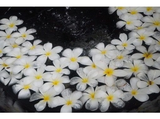 おうち海外旅行 南国の島フィリピン セブ島 Cebuのイメージが変わる2時間の旅行体験 アクティビティジャパン