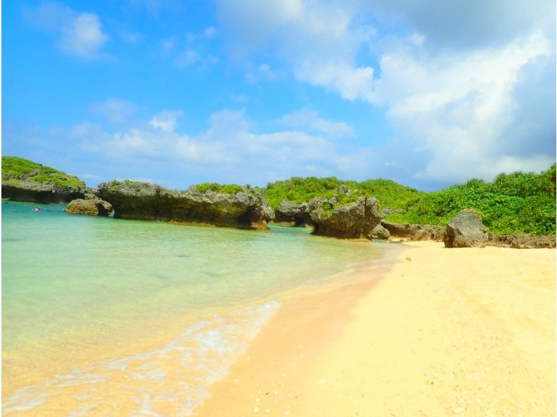 [Private tour for one group] Free for children up to 3 years old! Participants from 1 to 70 years old are welcome. First-timers are also welcome. ★Beach snorkeling★Free photography★の紹介画像