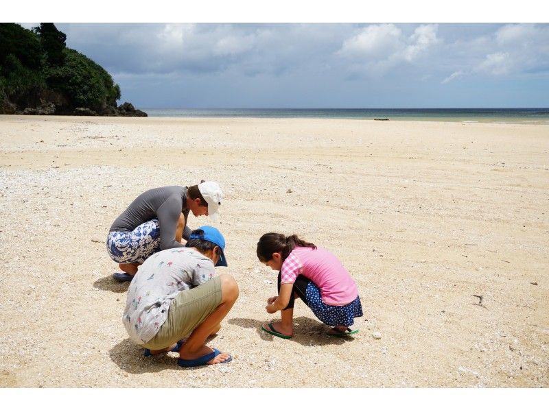 【石垣島・１組限定】お子さんも楽しめる！天然クリスタル探し＋珊瑚シュノーケリングツアーの紹介画像