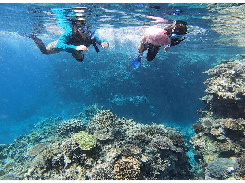 [Ishigaki Island, limited to one group] Children can also enjoy! Looking for natural crystals + coral snorkeling tourの紹介画像