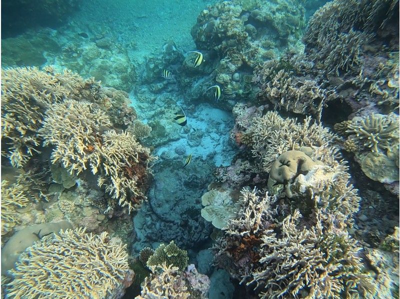 【石垣島・１組限定】天然クリスタル探し＋珊瑚シュノーケリングツアーの紹介画像