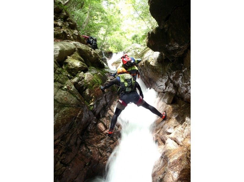 [Shiga] Japan's 100 best waterfalls! Yatsubuchi Falls shower climbing (half-day B course) 11:00 meeting point ≪SC-2≫の紹介画像