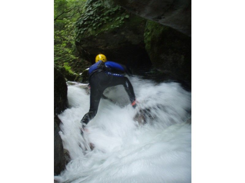 [Shiga] Japan's 100 best waterfalls! Yatsubuchi Falls shower climbing (half-day B course) 11:00 meeting point ≪SC-2≫の紹介画像