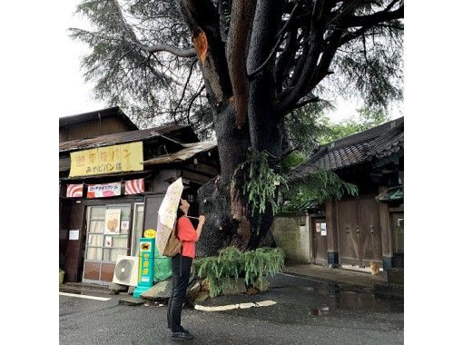 東京谷中】フォト散歩 下町グルメ＋猫＋猫グッズ探検 グループ貸切OK 