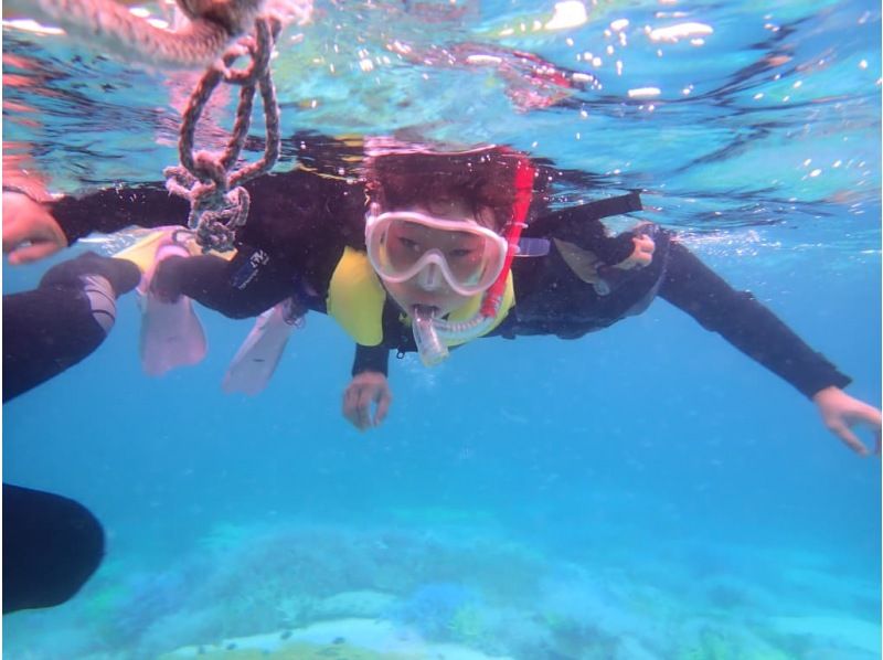 ☆Certified diving shop that is environmentally friendly according to international standards☆ [Enjoy half a day! Enjoy the blue cave and coral reef sea] Boat snorkel tourの紹介画像