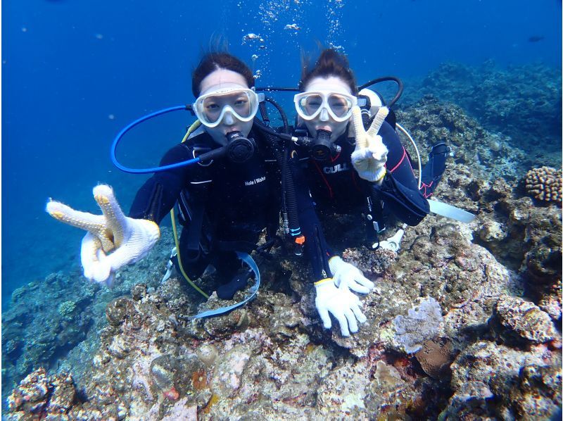 [Okinawa Ishigaki Island] Let's go see beautiful fish and coral! FUN diving (2 boat dive) Course for those who have a licenseの紹介画像